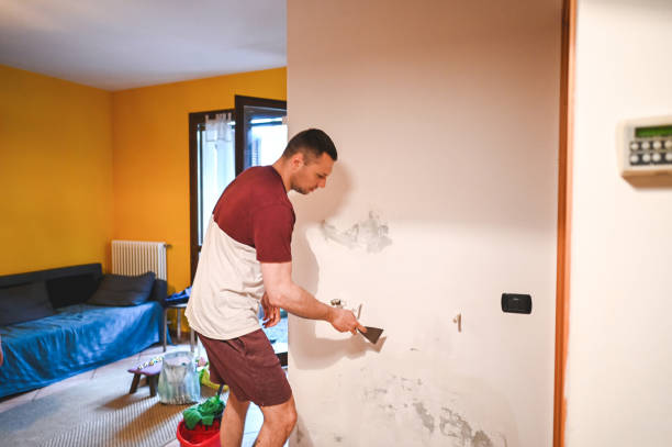 Best Best Mold Removal Companies  in Capac, MI