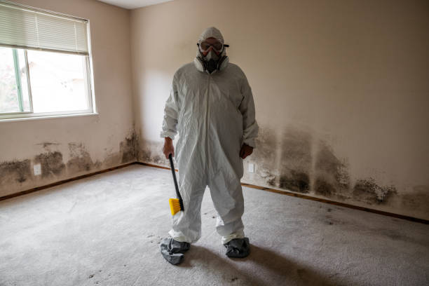 Best Professional Mold Removal  in Capac, MI